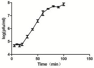 Bacteriophage vB_Yen_X1 and application thereof in prevention and treatment of Yersinia pestis infestation