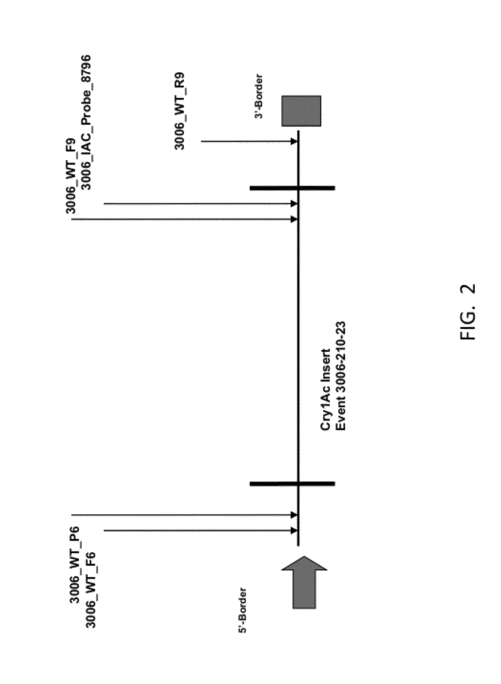 ENDPOINT TAQMAN METHODS FOR DETERMINING ZYGOSITY OF COTTON COMPRISING Cry1Ac EVENT 3006-210-23