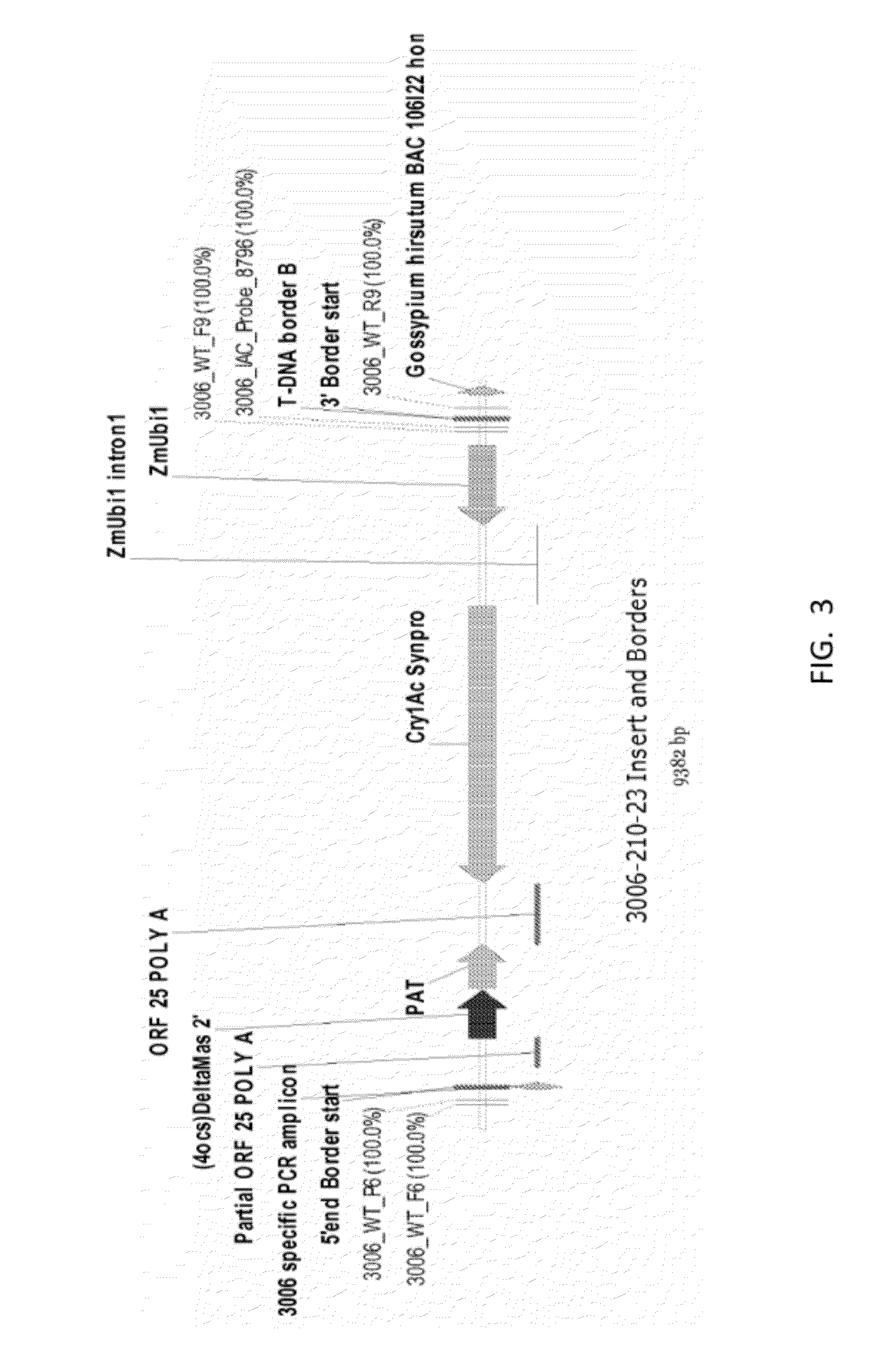 ENDPOINT TAQMAN METHODS FOR DETERMINING ZYGOSITY OF COTTON COMPRISING Cry1Ac EVENT 3006-210-23