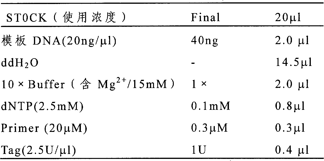 Method for detecting DNA fingerprint purity in cotton crossbreeds