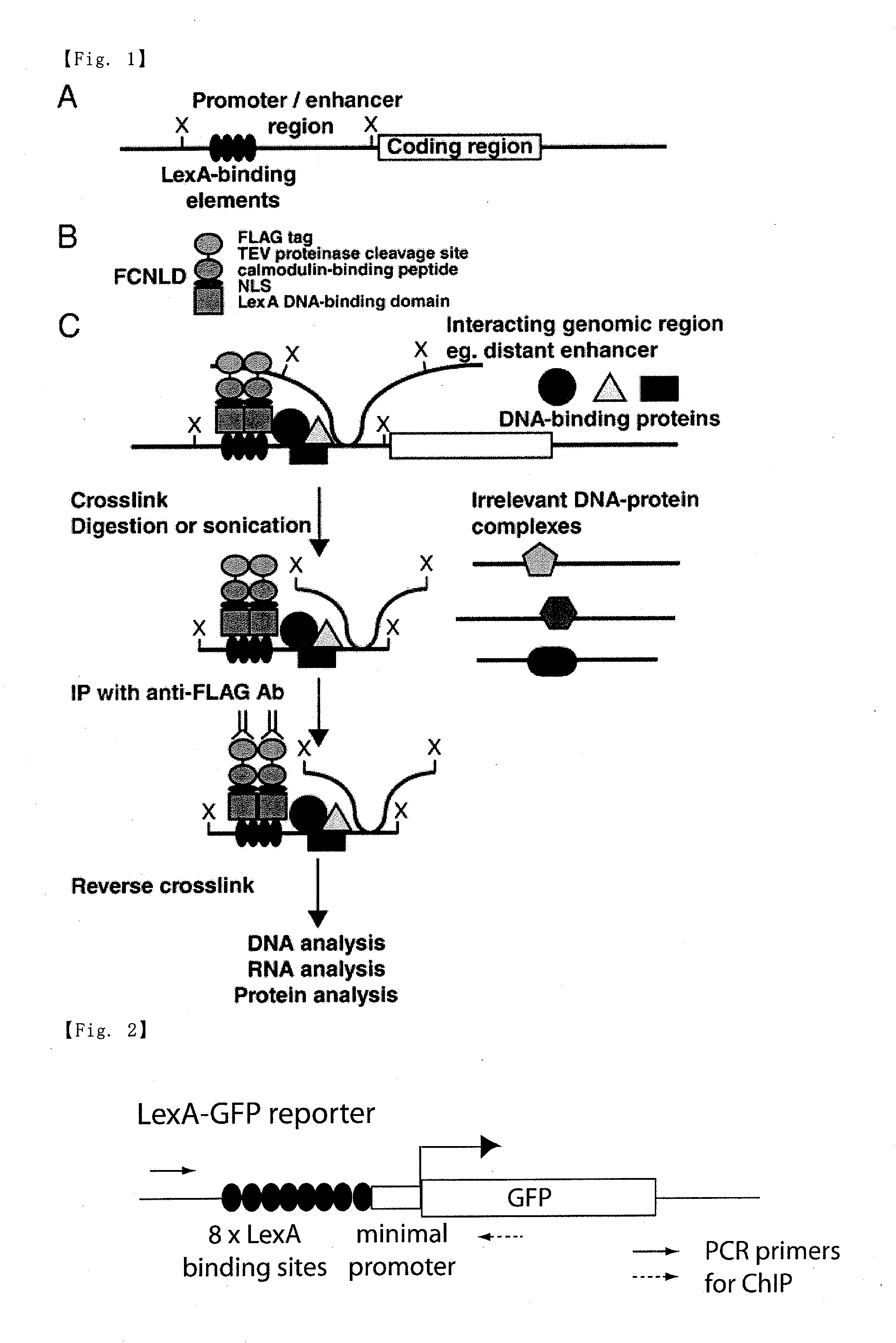 Method for isolating specific genomic regions