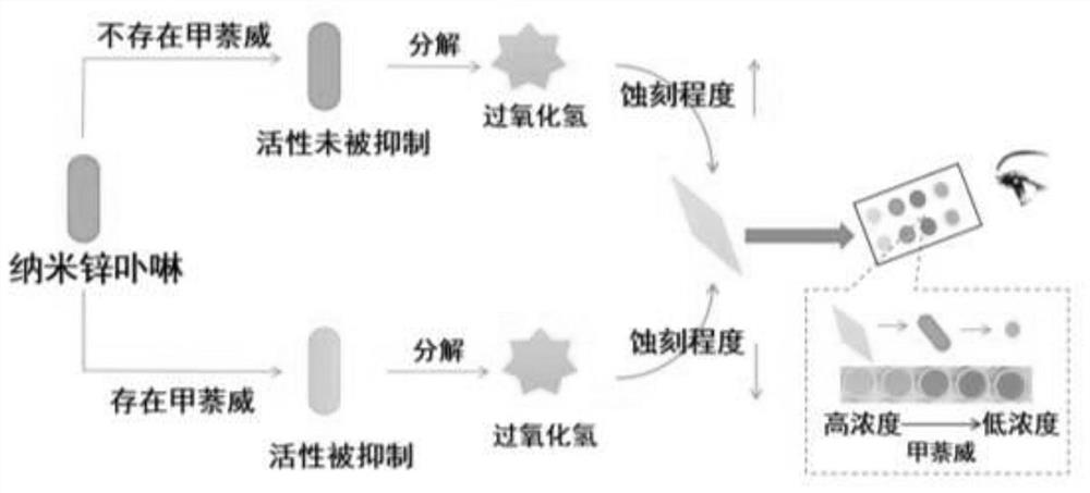 Method for detecting pesticide carbaryl based on nano-gold etching