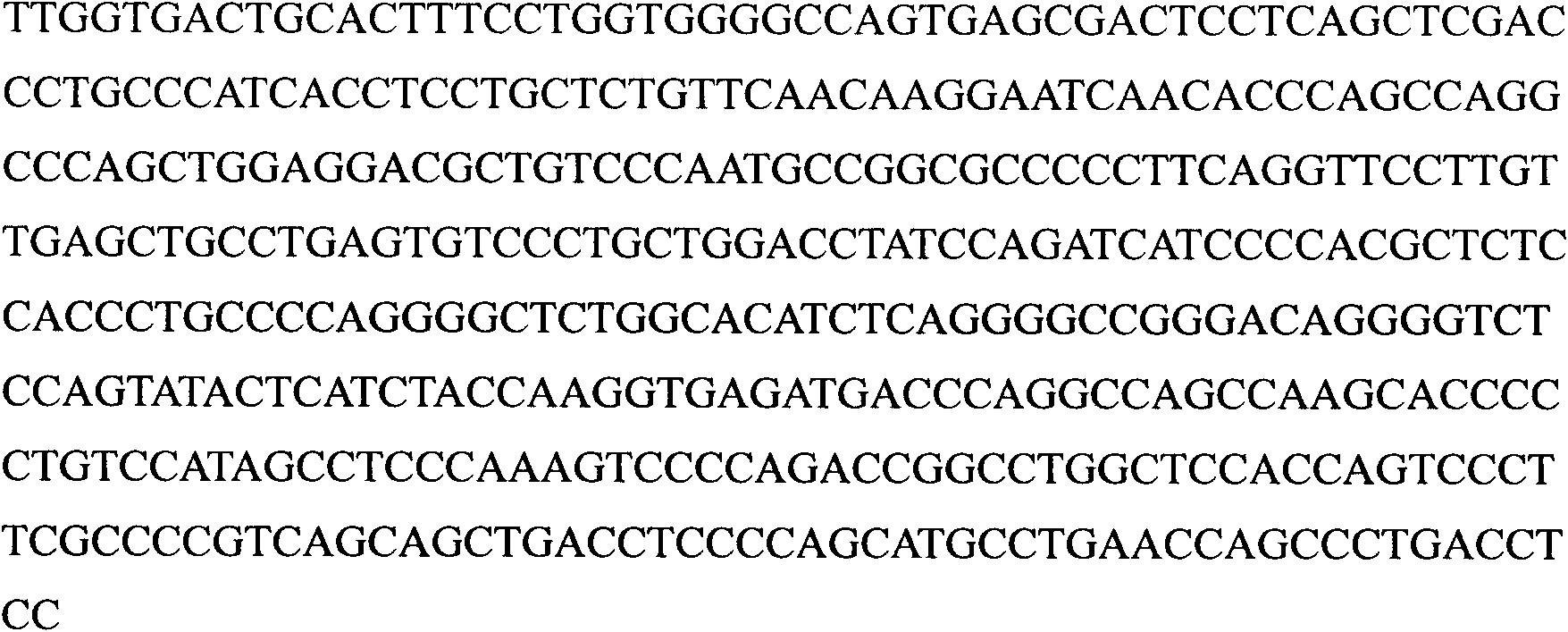 Identification and application of pig MHC II TA gene as immunity related molecular labels