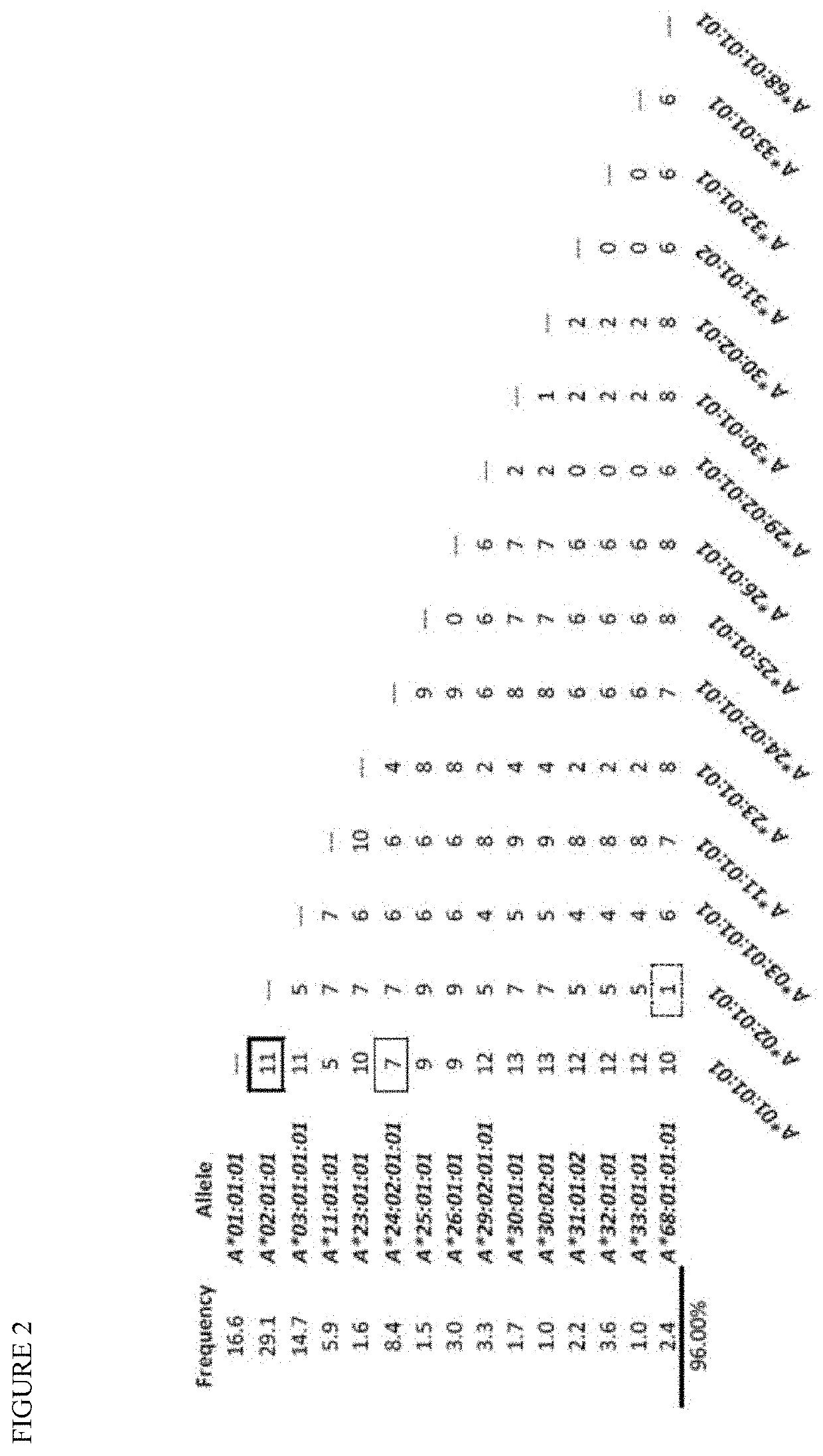 Platform independent haplotype identification and use in ultrasensitive DNA detection