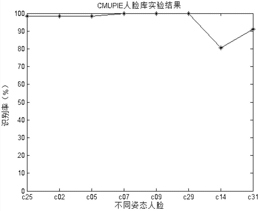 Total posture face identification method based on complete binary posture affinity scale invariant features