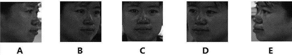 Total posture face identification method based on complete binary posture affinity scale invariant features