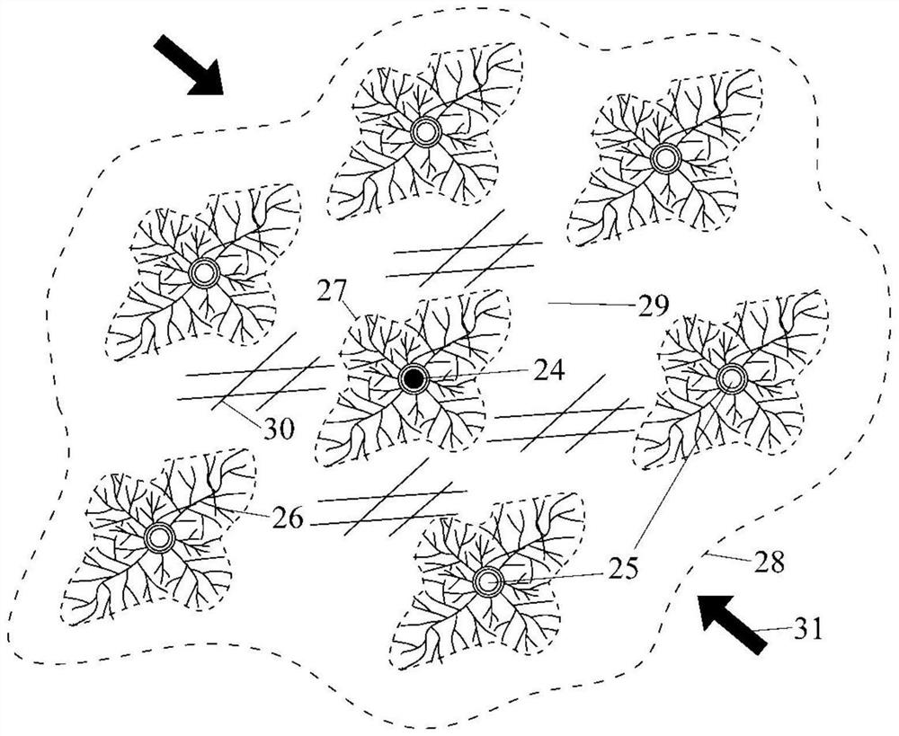 Injection-production process for prolonging service life of coalbed methane production well group by injecting carbon dioxide