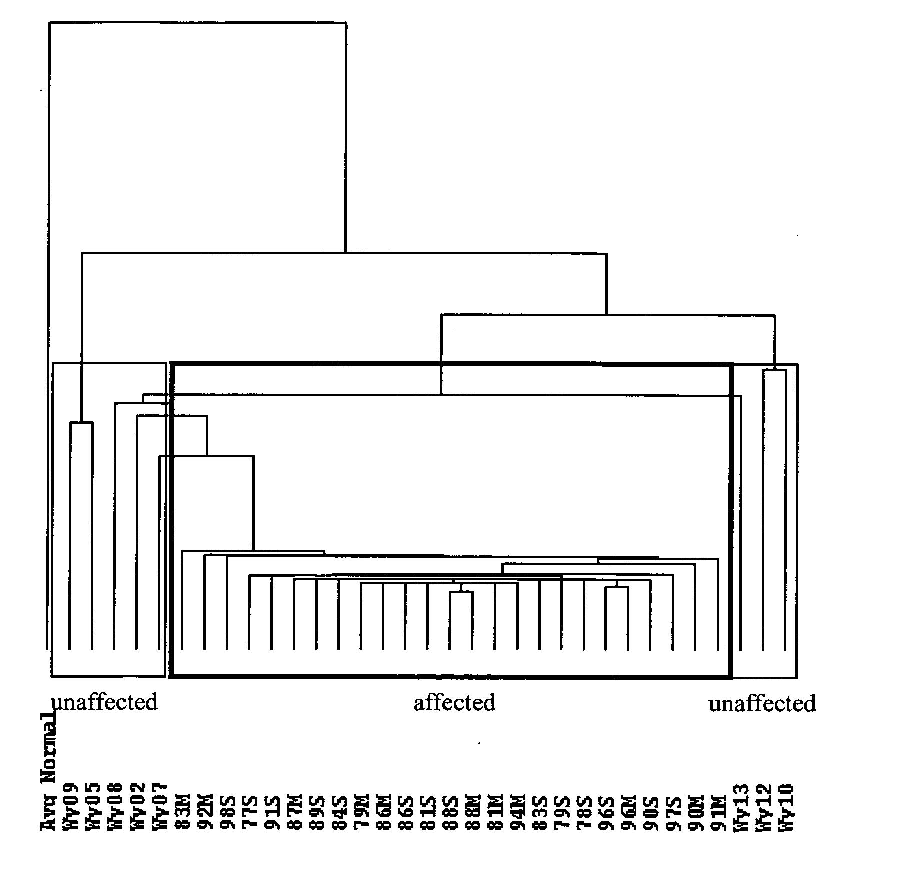 Nucleic acid arrays for detecting gene expression associated with human osteoarthritis and human proteases