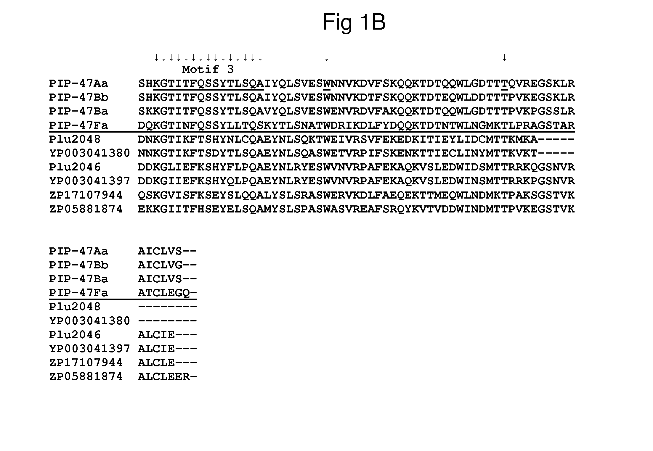 Insecticidal proteins and methods for their use