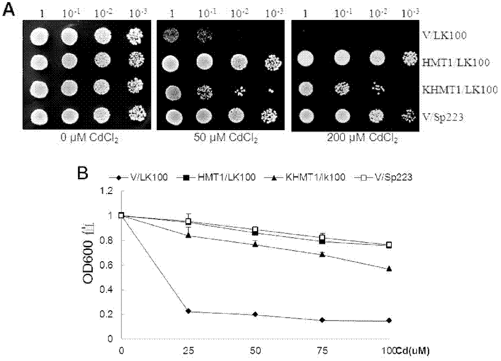 Method for improving plant heavy metal tolerance and regulating heavy metal oriented distribution