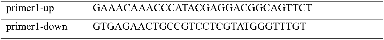 Nattokinase with improved acid resistance