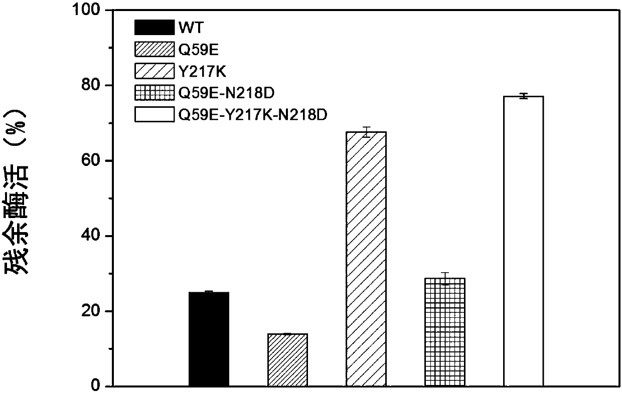 Nattokinase with improved acid resistance