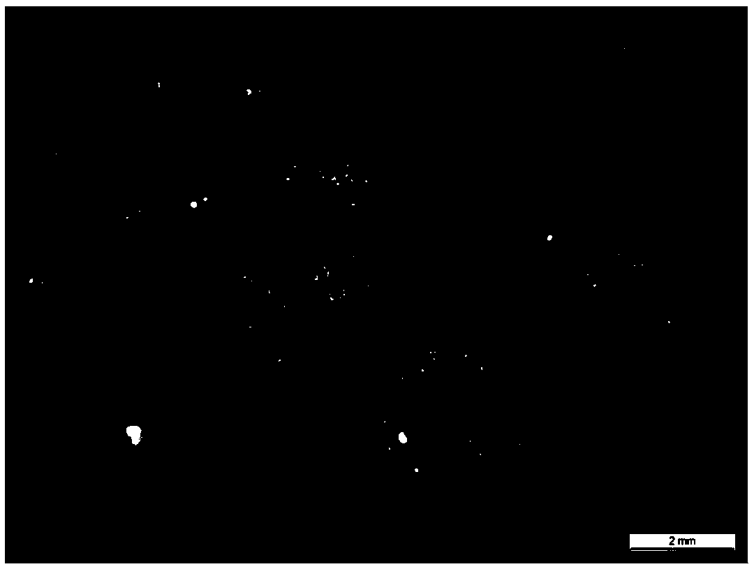 Passiflora foetida tissue culture method