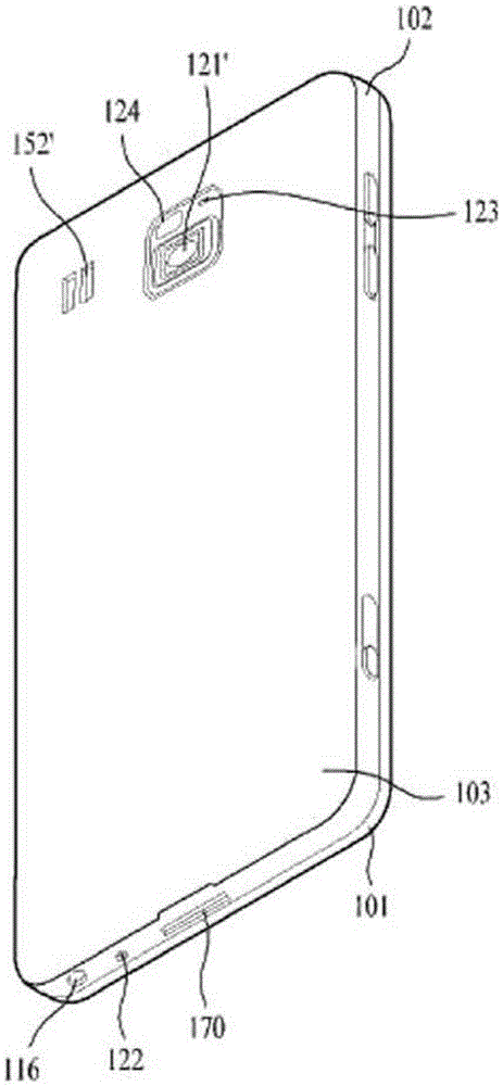 Near field wireless communication antenna and portable terminal