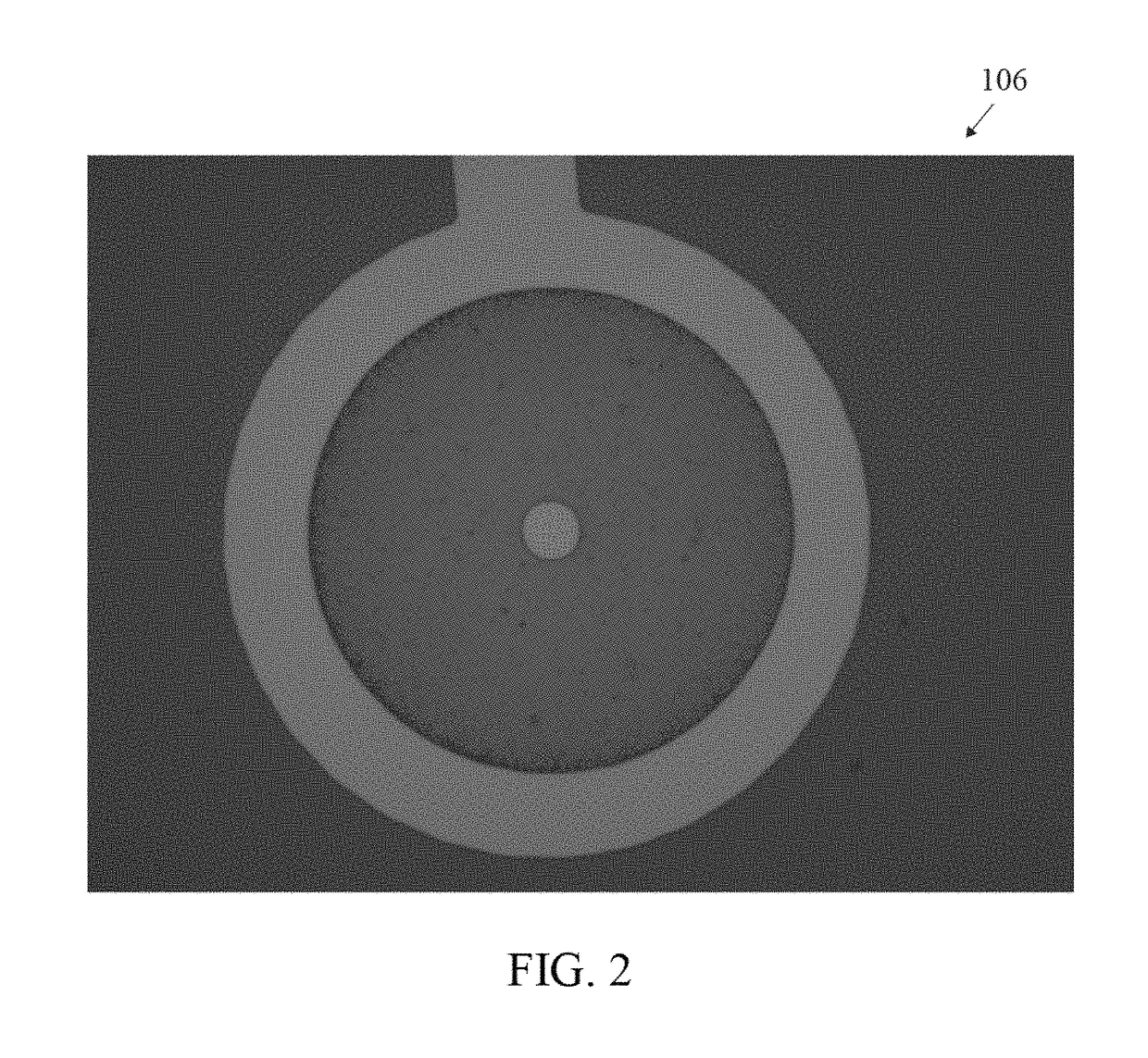 Tissue-penetrating electrochemical sensor featuring a co-electrodeposited thin film comprised of polymer and bio-recognition element