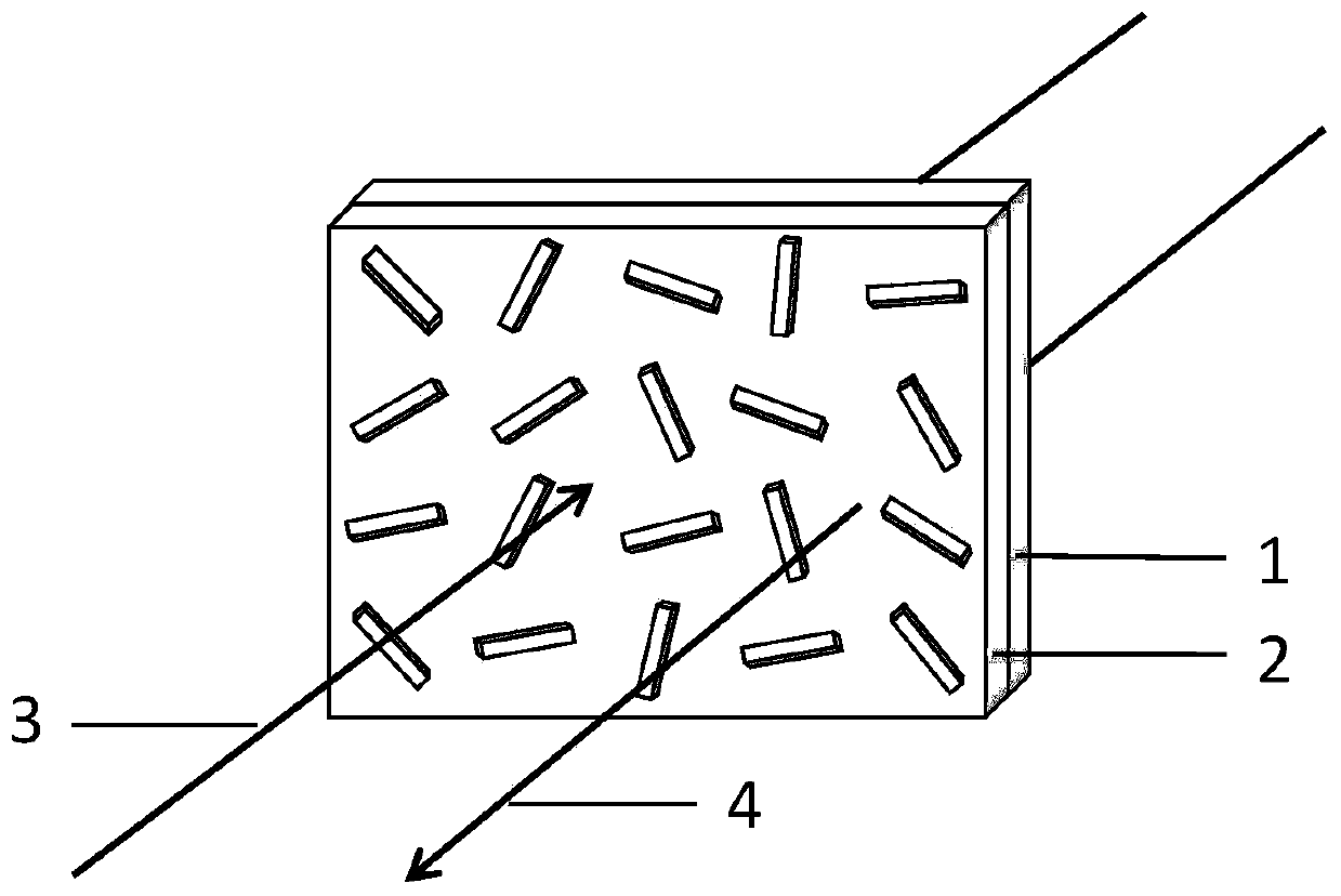 A coherently tunable optical holography