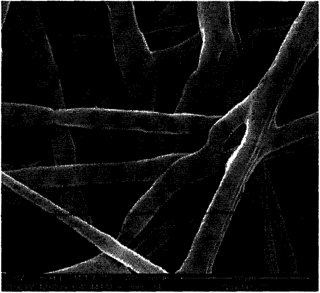 Composite shape memory fiber with thermosetting/thermoplastic core-shell structure and preparation method of composite shape memory fiber