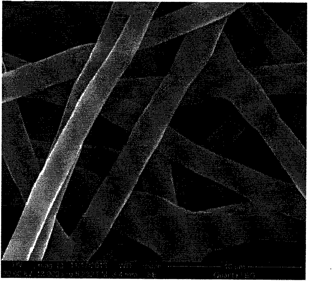 Composite shape memory fiber with thermosetting/thermoplastic core-shell structure and preparation method of composite shape memory fiber