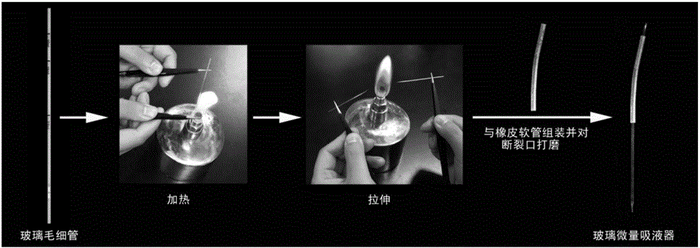 Production method and application of glass microscale aspirator