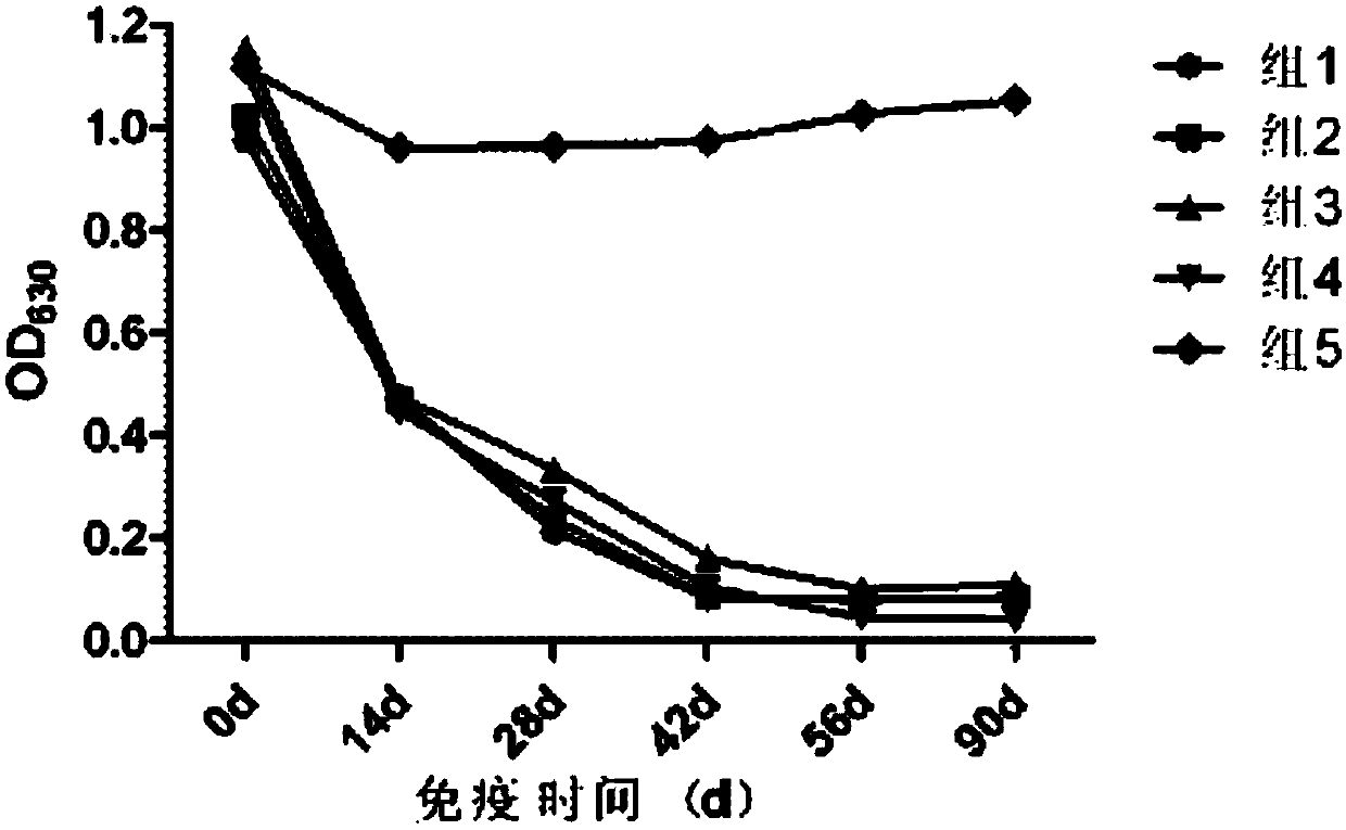 A kind of porcine pseudorabies virus mutant xf-1 strain and its preparation method and application