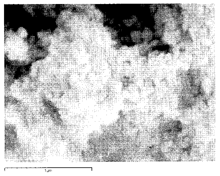 Preparation method of high specific surface area tantalum powder and/or niobium powder