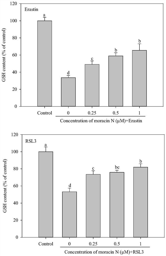 Application of Sangsin N in the preparation of products for preventing and treating diseases related to ferroptosis