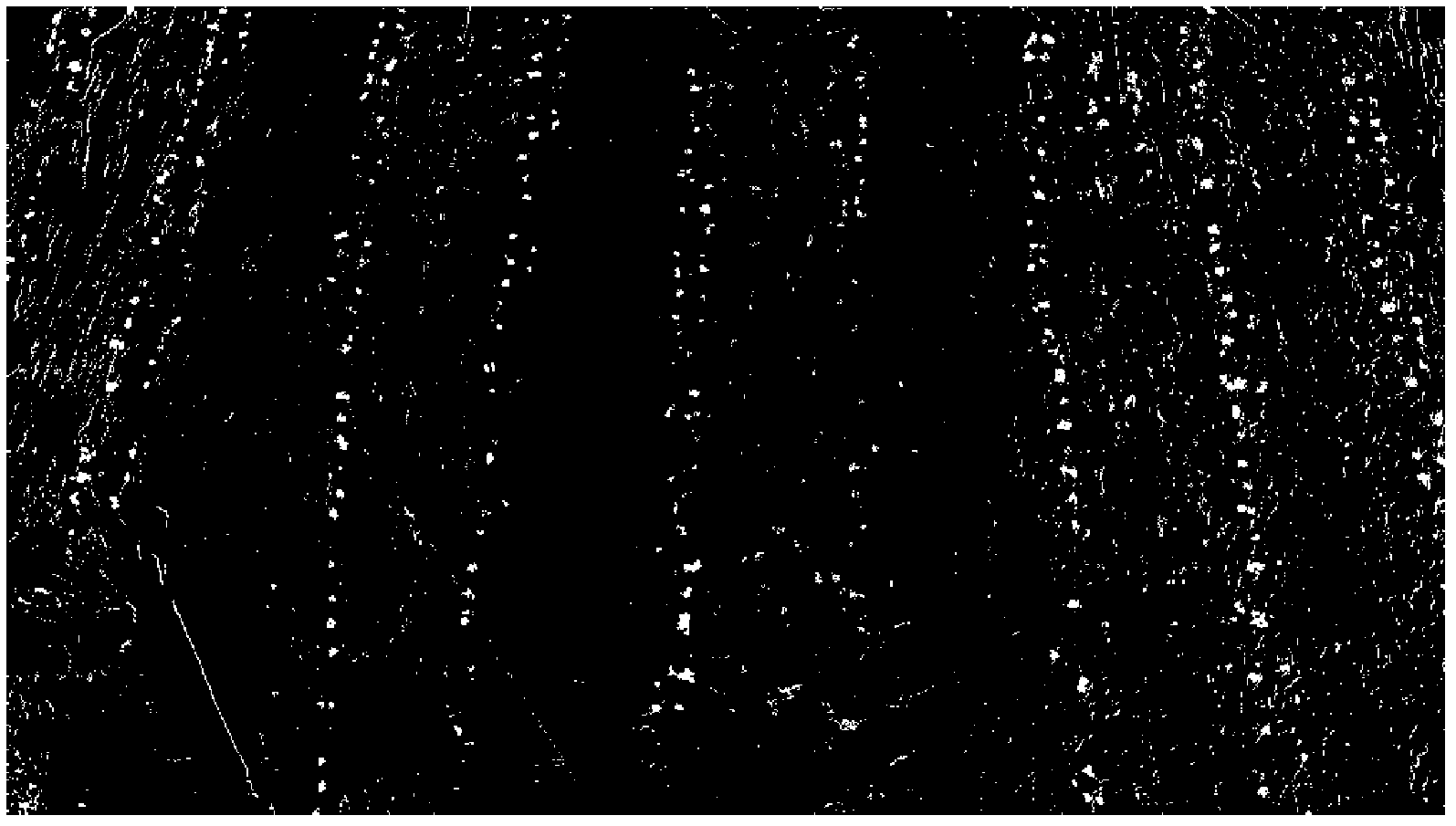 Method for automatically detecting three-true-leaf period of cotton