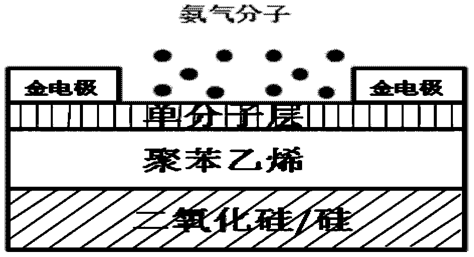 Organic monolayer thin film field effect gas sensor and preparation method thereof