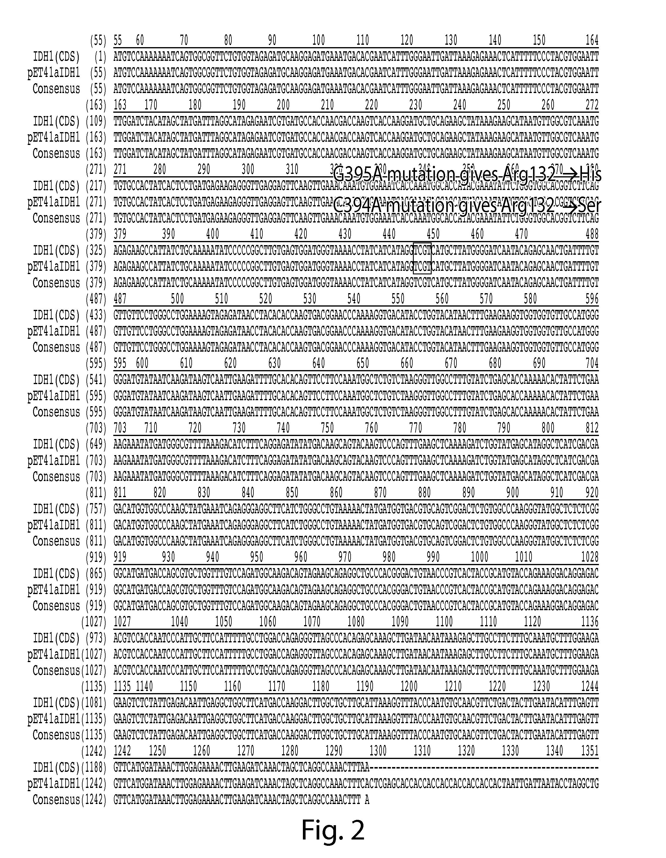 Methods and compositions for cell-proliferation-related disorders