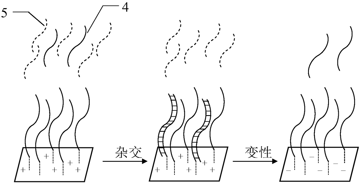 Gene chip for enrichment and extraction of transgenic components and preparation method of gene chip