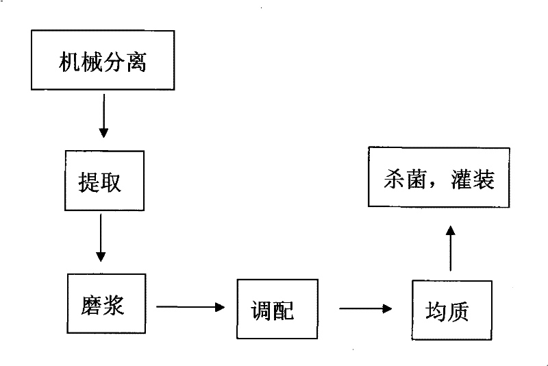 Watermelon juice drink and method for preparing same