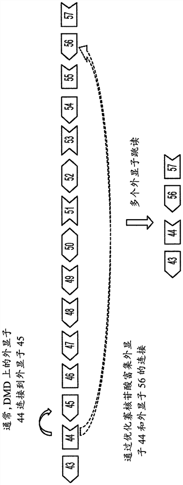 Oligonucleotide compositions and methods of use thereof