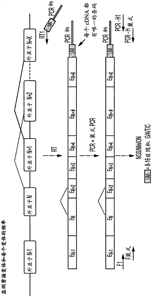 Oligonucleotide compositions and methods of use thereof