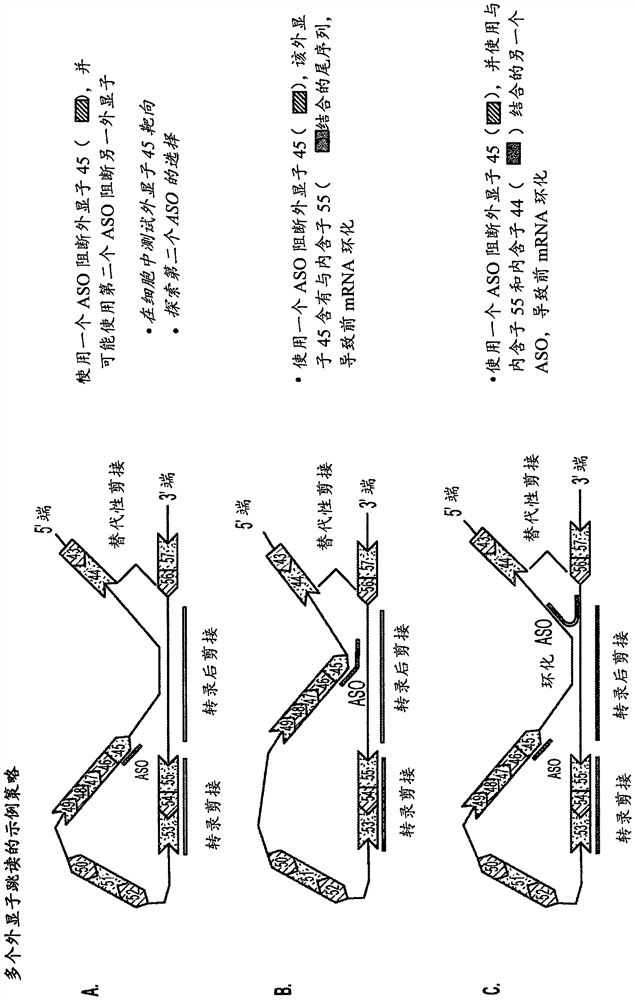 Oligonucleotide compositions and methods of use thereof