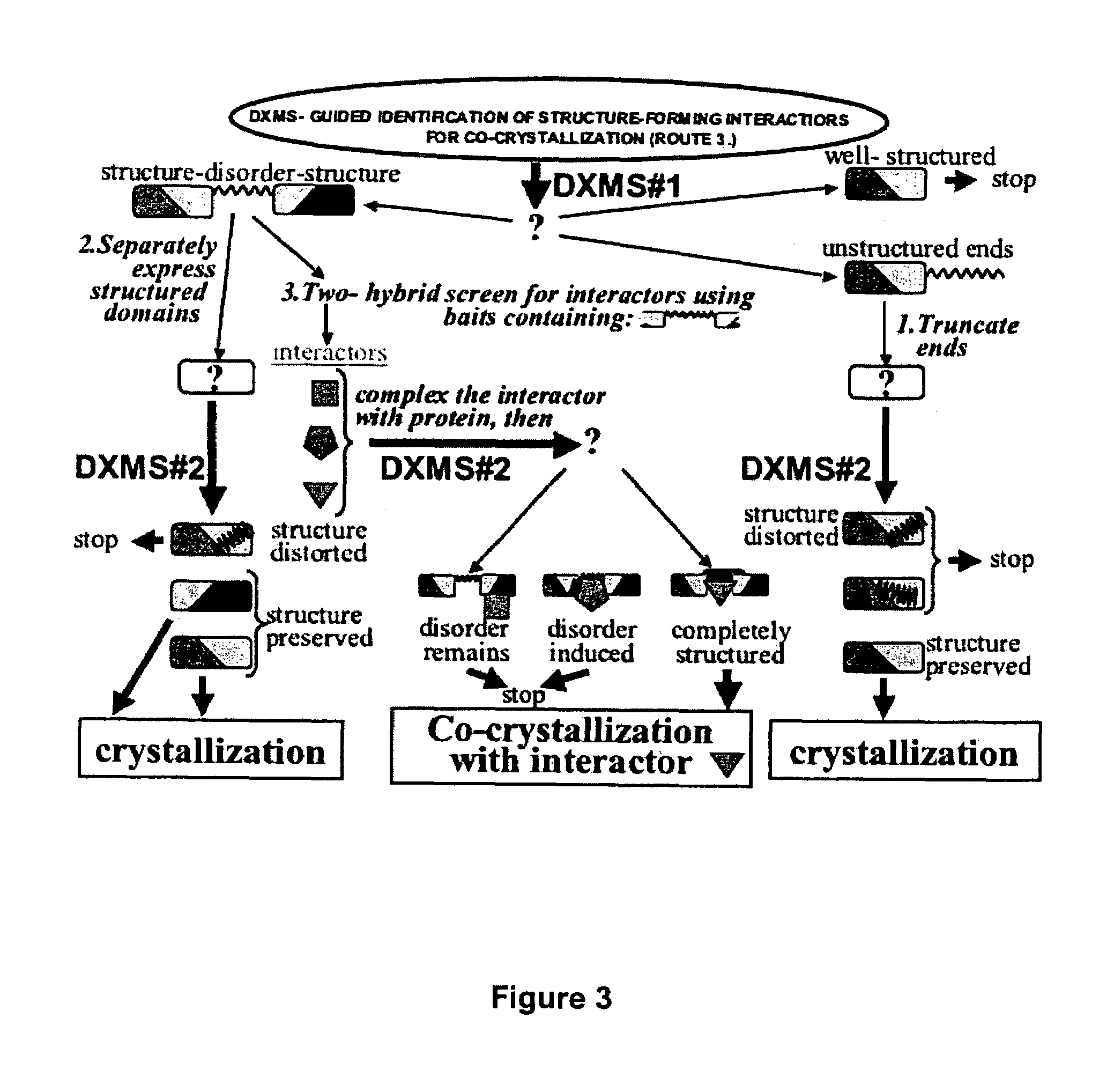 Enhanced methods for crystallographic structure determination employing hydrogen exchange analysis