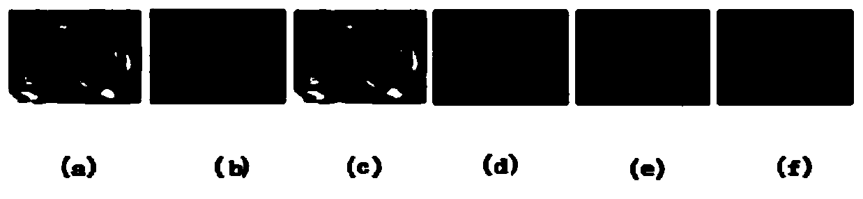 Plant three-dimensional measurement method and system based on cloud mirror photography system parameters and video frames