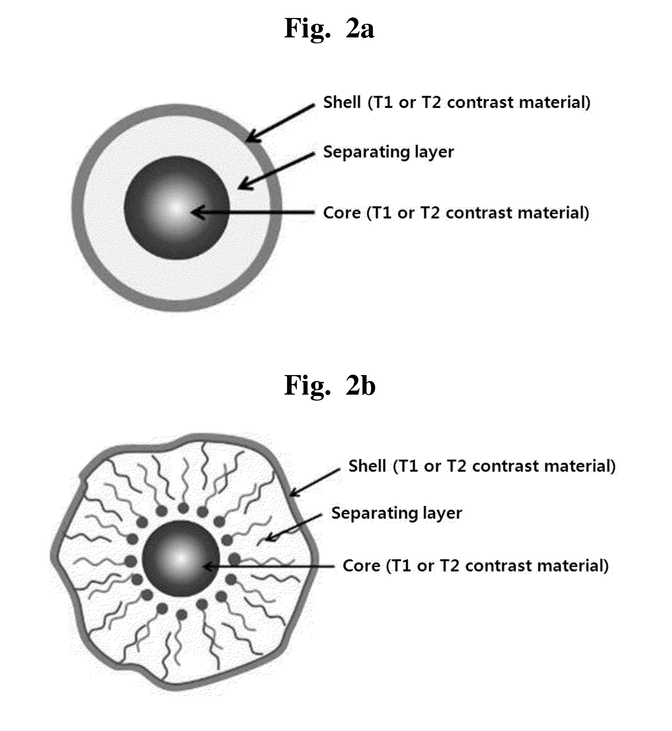 T1-t2 dual modal MRI contrast agents