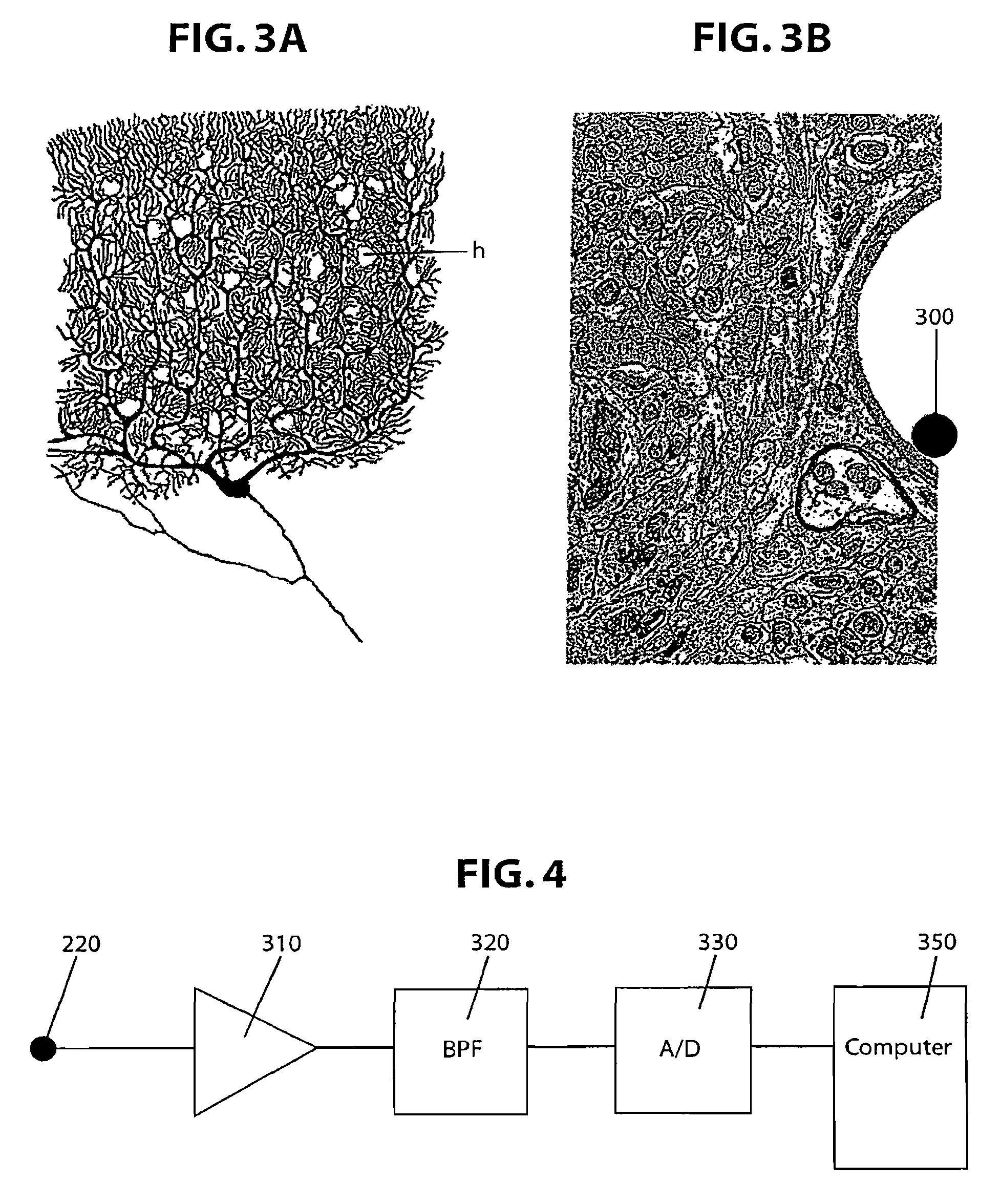 Brain-machine interface systems and methods