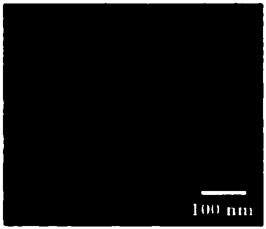 Nanoparticles targeting systemic multistage lymph nodes, preparation method and application thereof