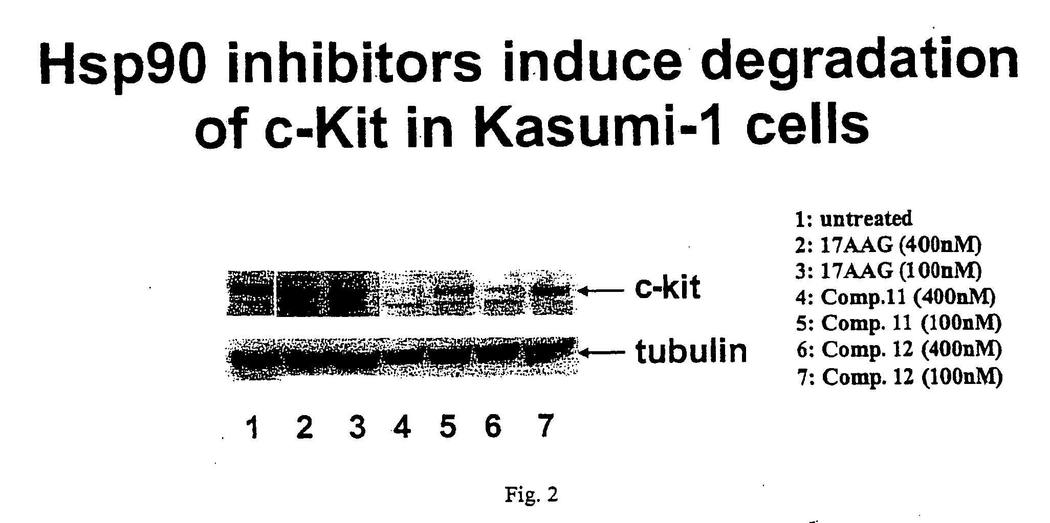 Triazole compounds that modulate HSP90 activity