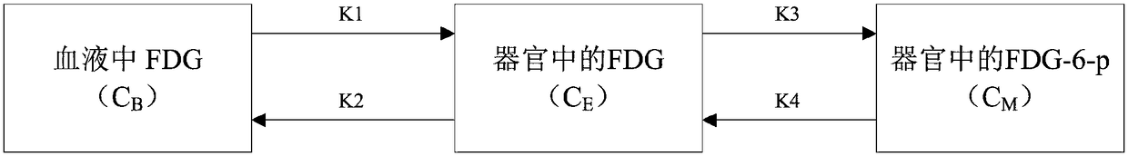 pet-ct dynamic medical image intelligent quantitative analysis system and analysis method