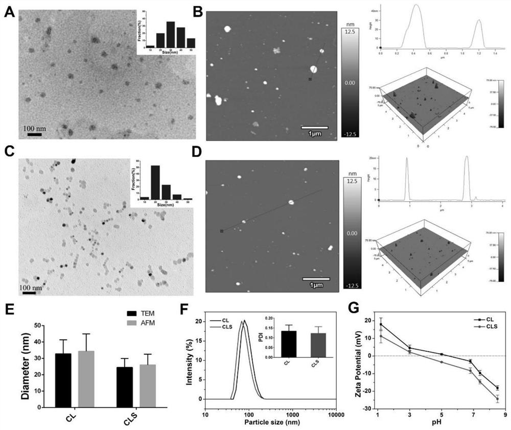 One-step self-assembly method of succinylated casein-phospholipid-anthocyanin nanoparticles and application of succinylated casein-phospholipid-anthocyanin nanoparticles