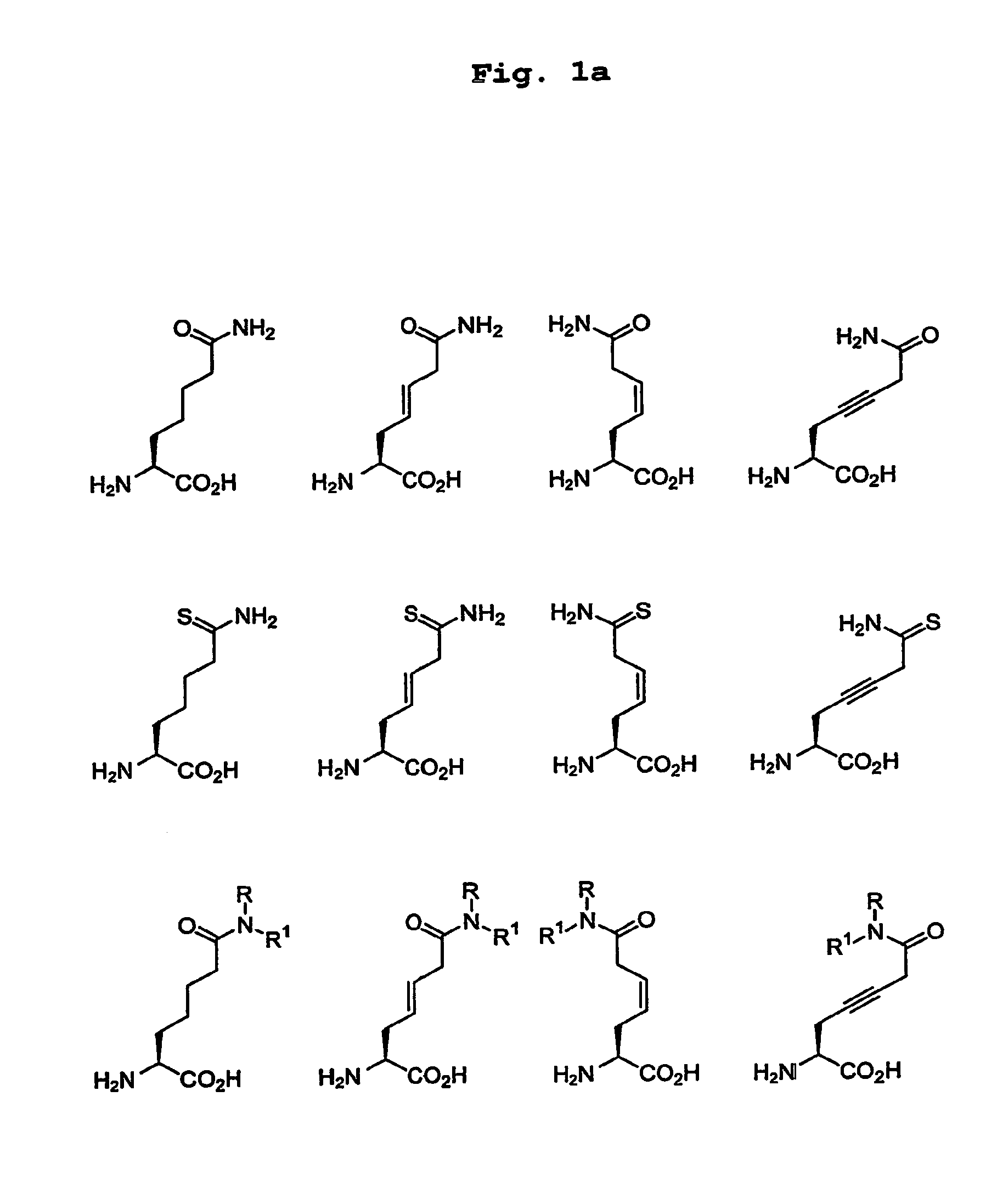 Method of detecting auto-antibodies from patients suffering from rheumatoid arthritis, a peptide and an assay kit