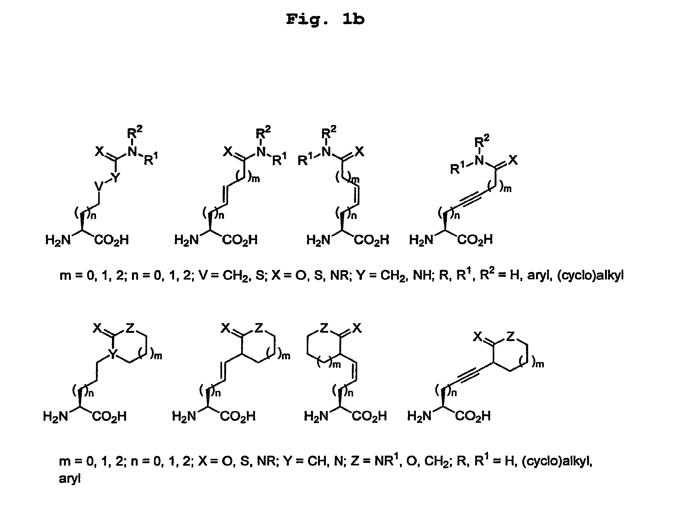 Method of detecting auto-antibodies from patients suffering from rheumatoid arthritis, a peptide and an assay kit