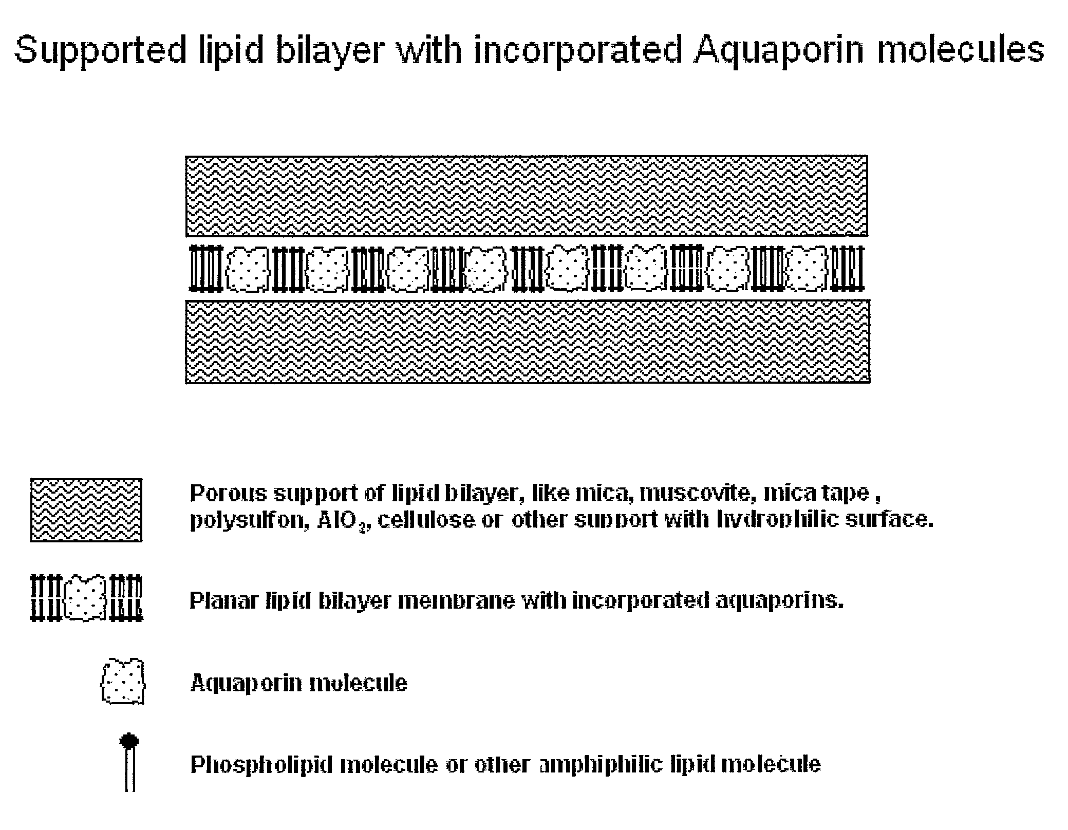 Membrane for filtering of water