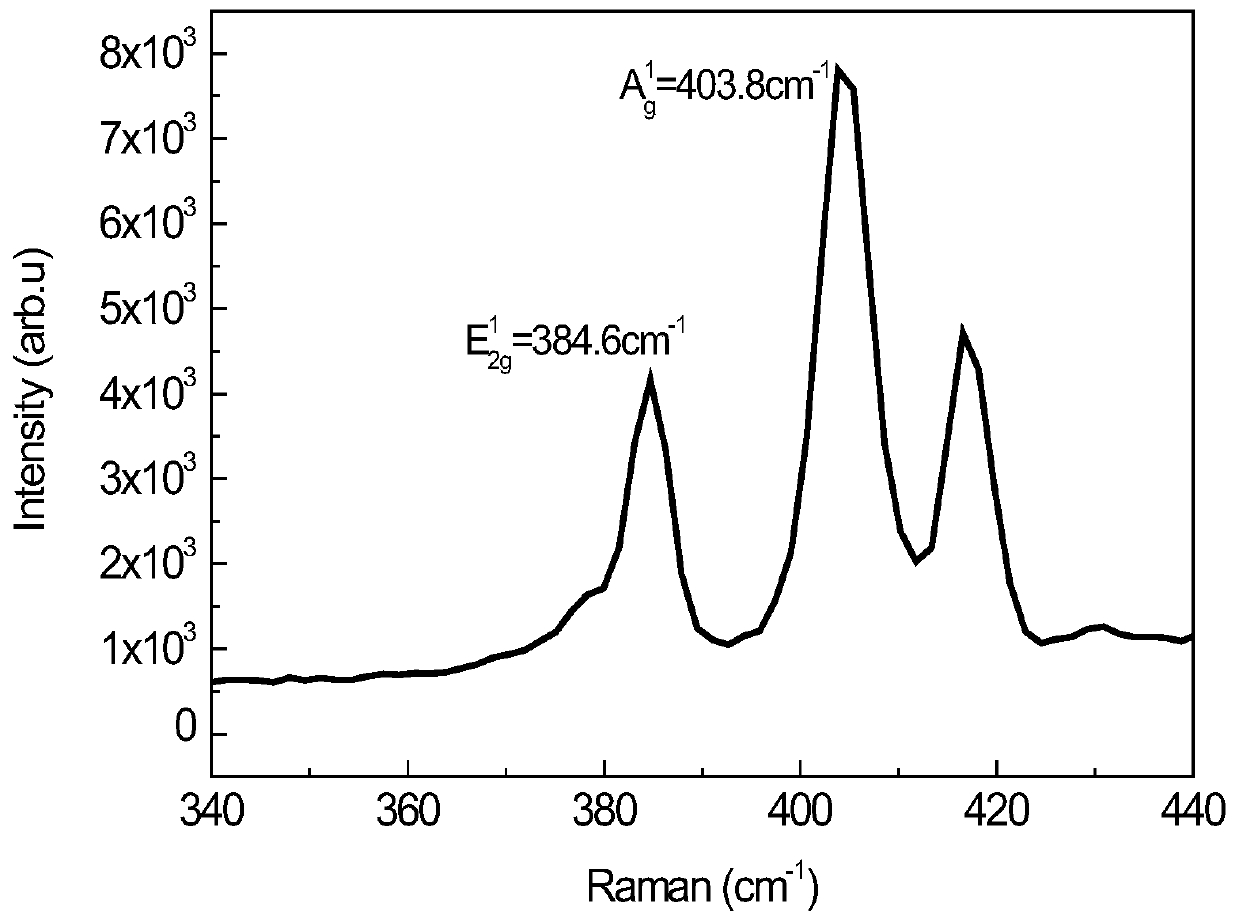 Single-layer transition metal disulfide flexible photodetector preparation method