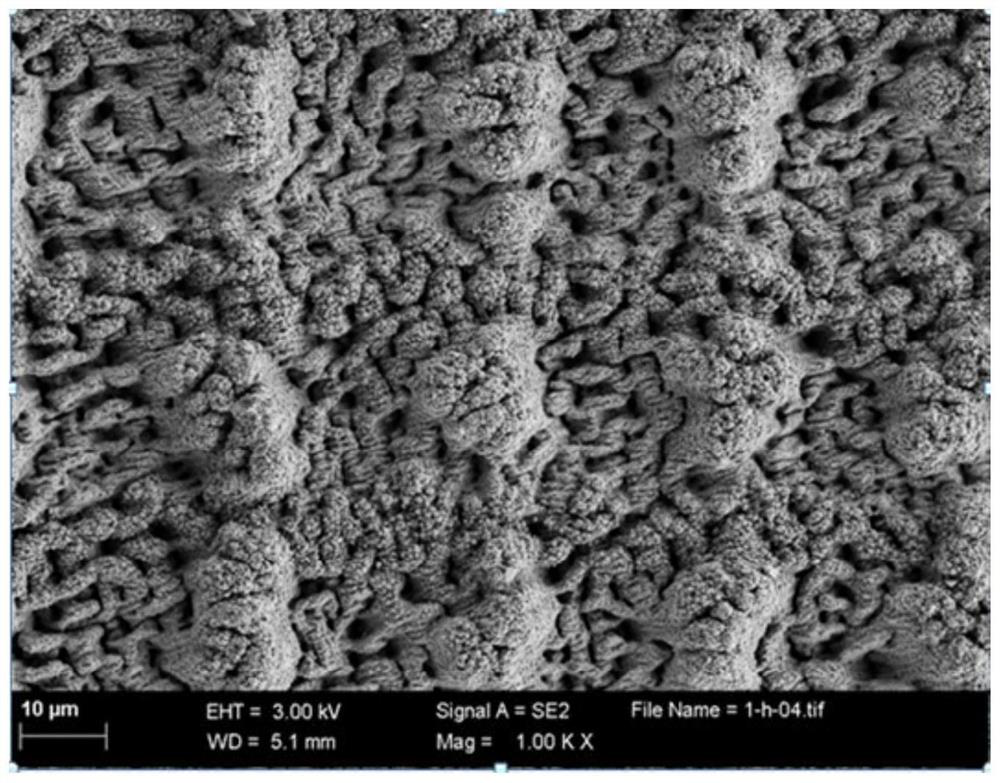 Bionic self-driven water collection pattern capable of being applied to large-scale surface and preparation method of bionic self-driven water collection pattern