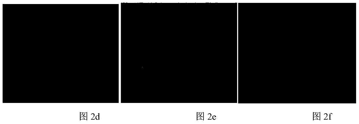 Research method of action mechanism for promoting gastric mucosa repairing to treat gastric ulcer through JNK/SAPK and ERK signal channels