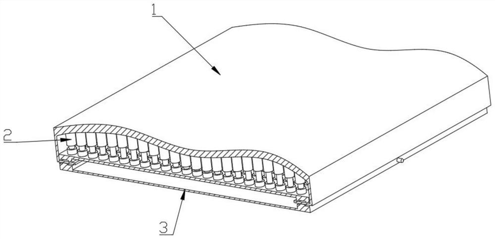 Pillow type regulation and control device based on pressure self-adaption yin-yang balance