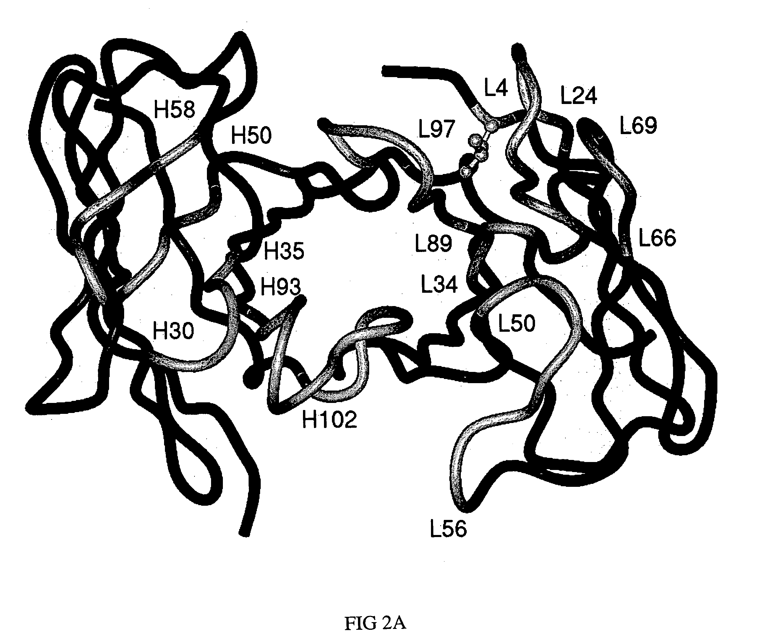 Humanized anti-CEA T84.66 antibody and uses thereof